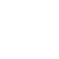 Cozmo Scan My SEO Logo