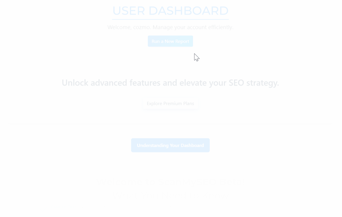 ScanMySEO User Profile